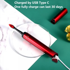 2021 New Portable Charging Easy Carry Travel Electric Waterproof Toothbrush Sonic Electric Toothbrush